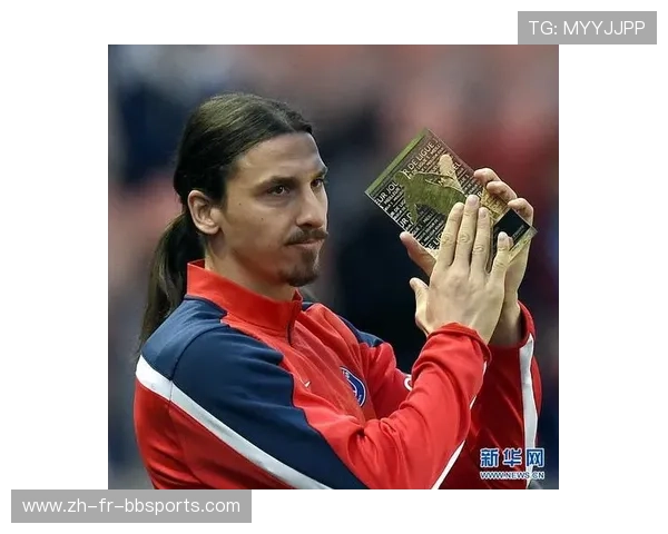 法甲球员薪资统计与收入分配现状详细报告